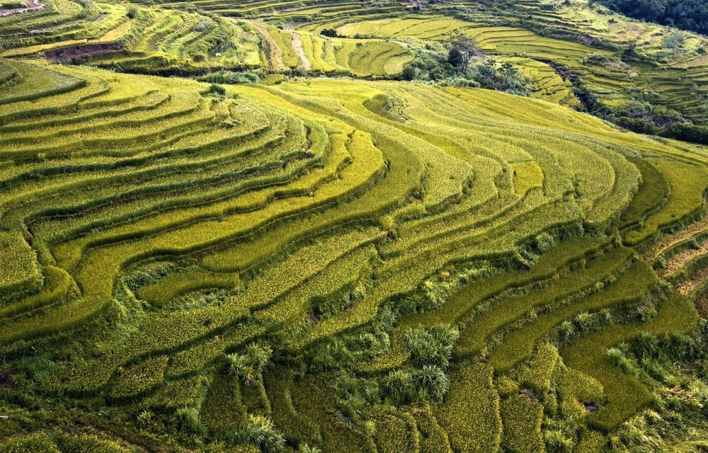 Du lịch Hòa Bình điểm đến hấp dẫn du khách trong và ngoài nước - Ảnh 2. Du lịch Hòa Bình điểm đến hấp dẫn du khách trong và ngoài nước - Ảnh 2.