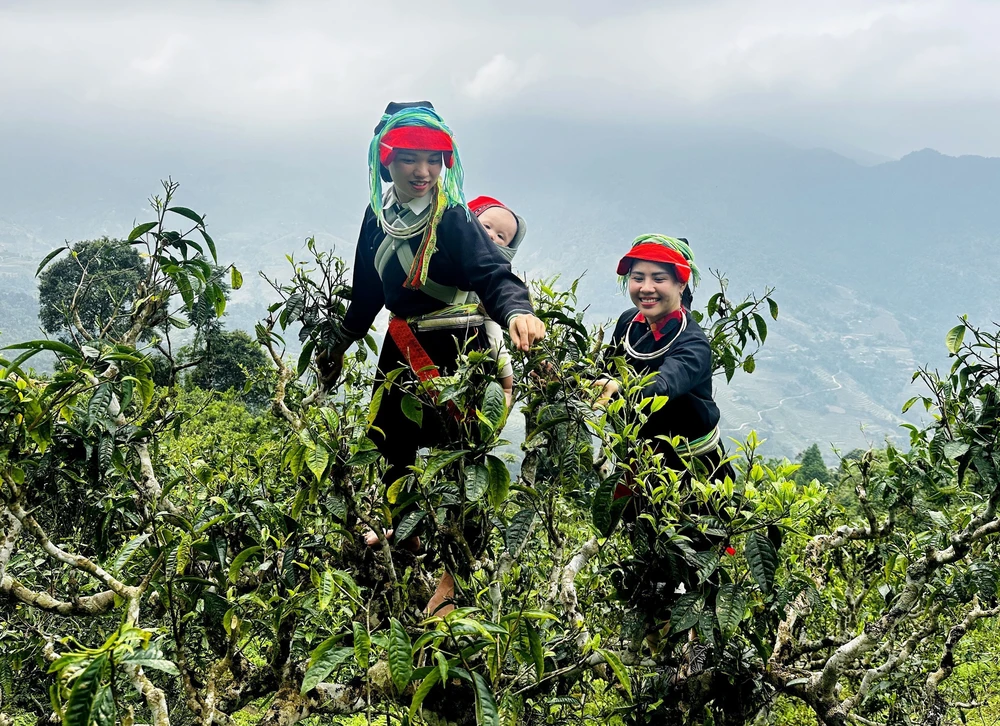 Thời tiết ngày 11/5: Vùng núi Bắc Bộ có nơi trở lạnh - Ảnh 1. Thời tiết ngày 11/5: Vùng núi Bắc Bộ có nơi trở lạnh - Ảnh 1.