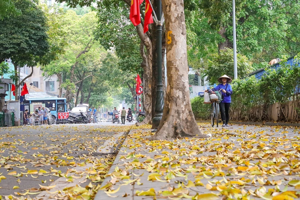 Có một Hà Nội đẹp dịu dàng mùa lá rụng - Ảnh 1. Có một Hà Nội đẹp dịu dàng mùa lá rụng - Ảnh 1.