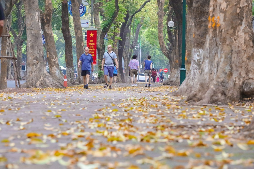 Có một Hà Nội đẹp dịu dàng mùa lá rụng - Ảnh 3. Có một Hà Nội đẹp dịu dàng mùa lá rụng - Ảnh 3.