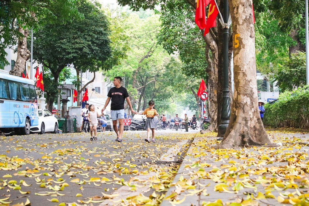 Có một Hà Nội đẹp dịu dàng mùa lá rụng - Ảnh 5. Có một Hà Nội đẹp dịu dàng mùa lá rụng - Ảnh 5.