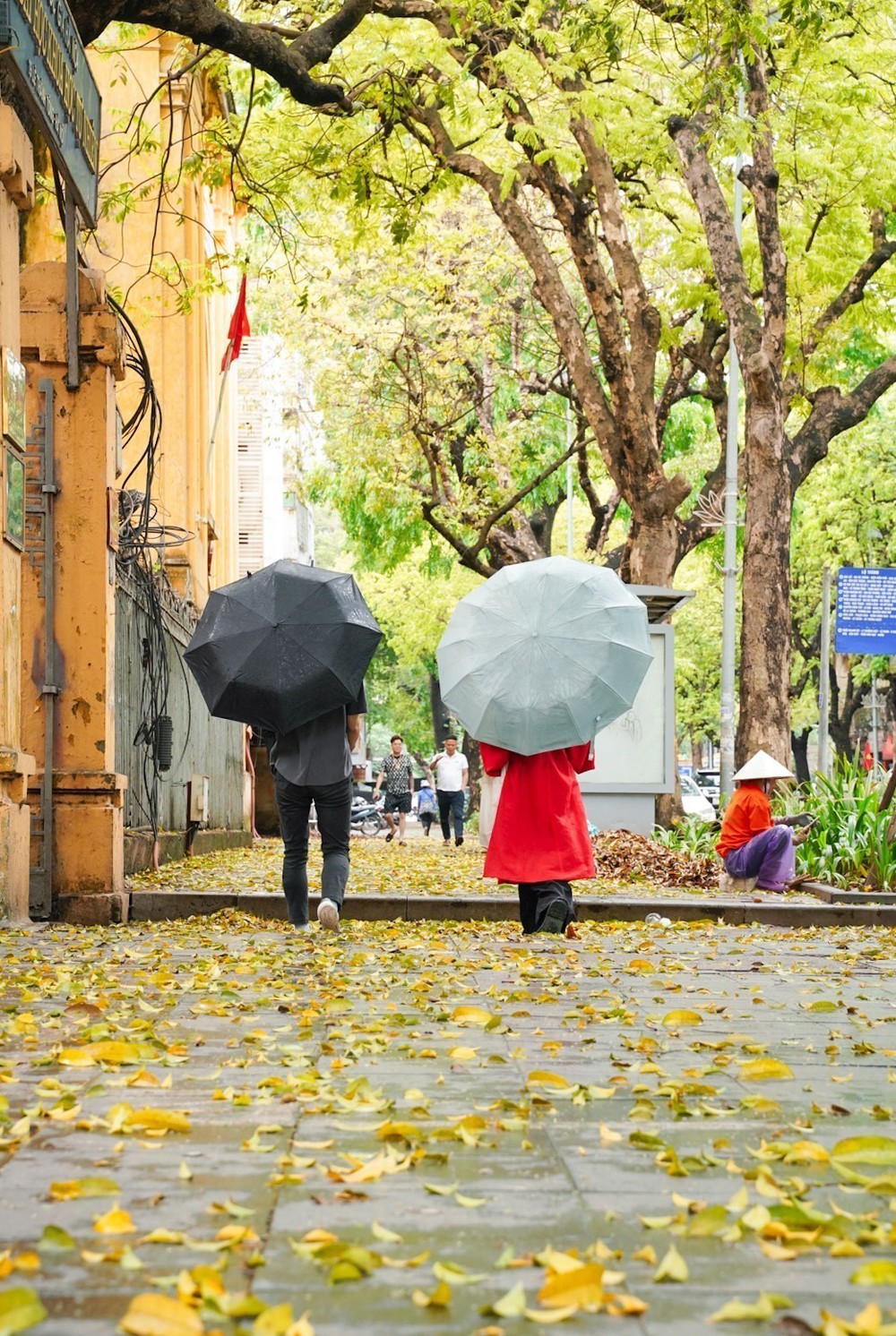 Có một Hà Nội đẹp dịu dàng mùa lá rụng - Ảnh 13. Có một Hà Nội đẹp dịu dàng mùa lá rụng - Ảnh 13.