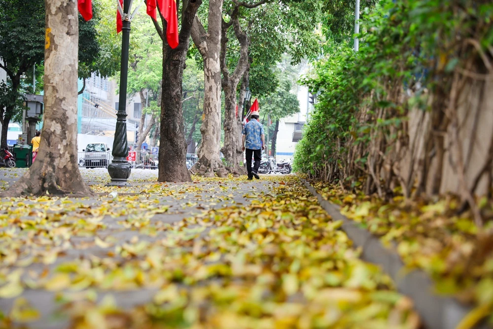 Có một Hà Nội đẹp dịu dàng mùa lá rụng - Ảnh 11. Có một Hà Nội đẹp dịu dàng mùa lá rụng - Ảnh 11.