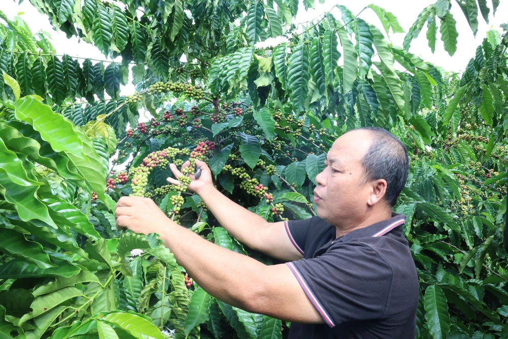 Khi con người là trung tâm của sự phát triển - Ảnh 2.