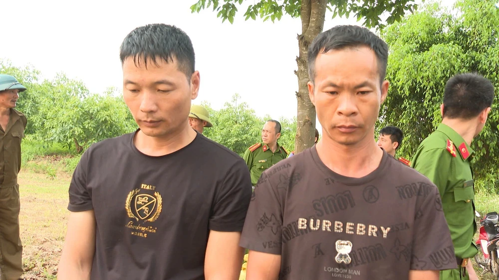 Điều tra, làm rõ vụ lăng mộ vua Lê Túc Tông bị đào sâu khoảng 1,6m - Ảnh 1.
