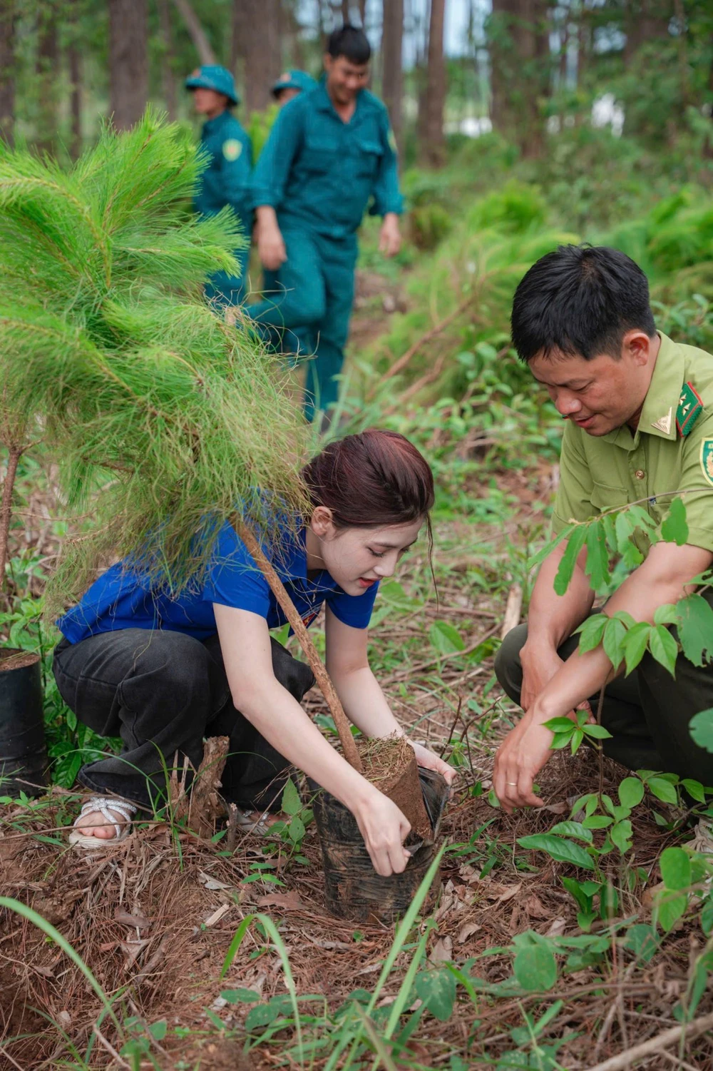 Hoa hậu Trần Thị Mỹ Linh diện áo xanh tình nguyện cùng các chiến sĩ trồng cây - Ảnh 1.