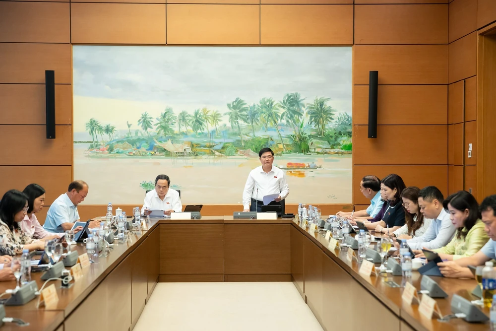Kỳ họp thứ 9, Quốc hội khóa XV: Nhiều đại biểu đồng tình giảm thuế VAT với tất cả hàng hóa - Ảnh 2.