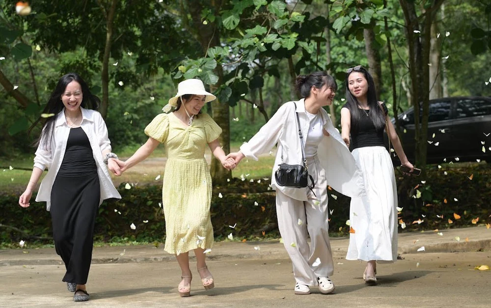 Mùa bướm ở Vườn quốc gia Cúc Phương "níu chân" du khách - Ảnh 6. Mùa bướm ở Vườn quốc gia Cúc Phương "níu chân" du khách - Ảnh 6.