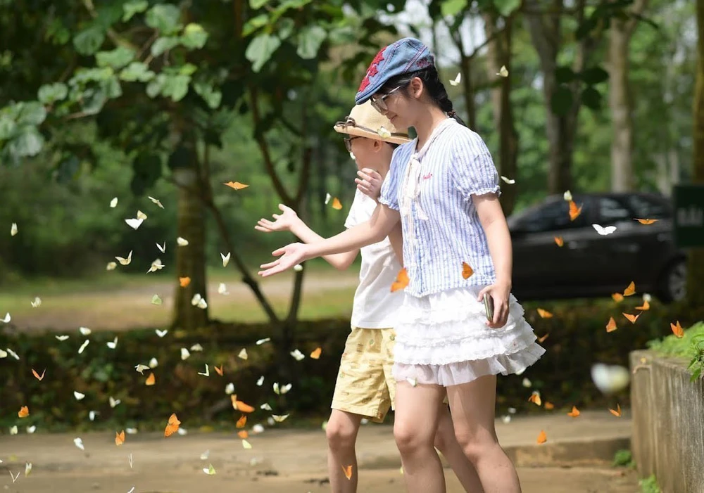 Mùa bướm ở Vườn quốc gia Cúc Phương "níu chân" du khách - Ảnh 3. Mùa bướm ở Vườn quốc gia Cúc Phương "níu chân" du khách - Ảnh 3.