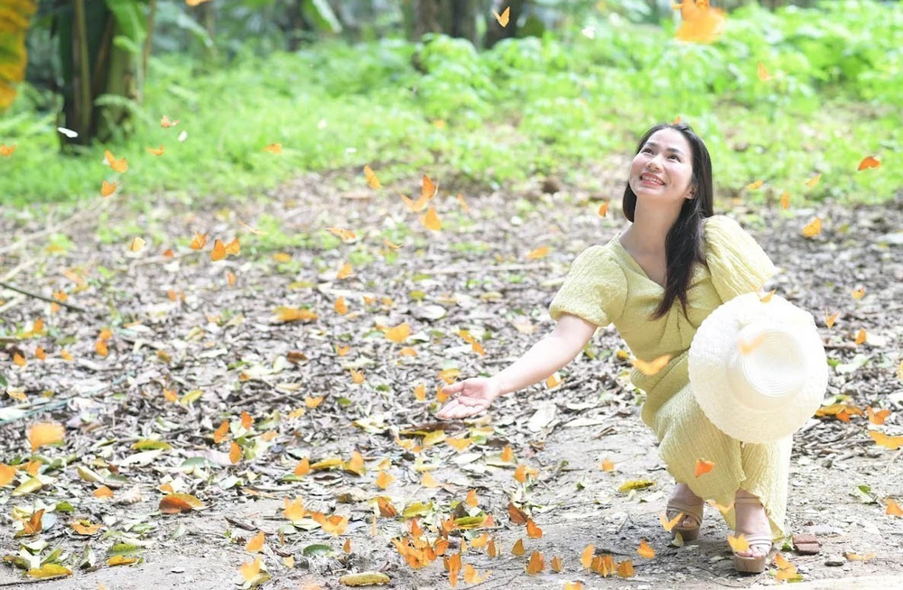 Mùa bướm ở Vườn quốc gia Cúc Phương "níu chân" du khách - Ảnh 2. Mùa bướm ở Vườn quốc gia Cúc Phương "níu chân" du khách - Ảnh 2.