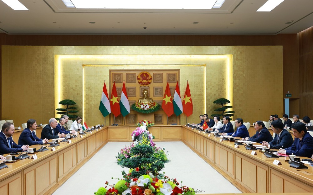 Thủ tướng Phạm Minh Chính hội kiến Tổng thống Hungary Sulyok Tamas - Ảnh 5.