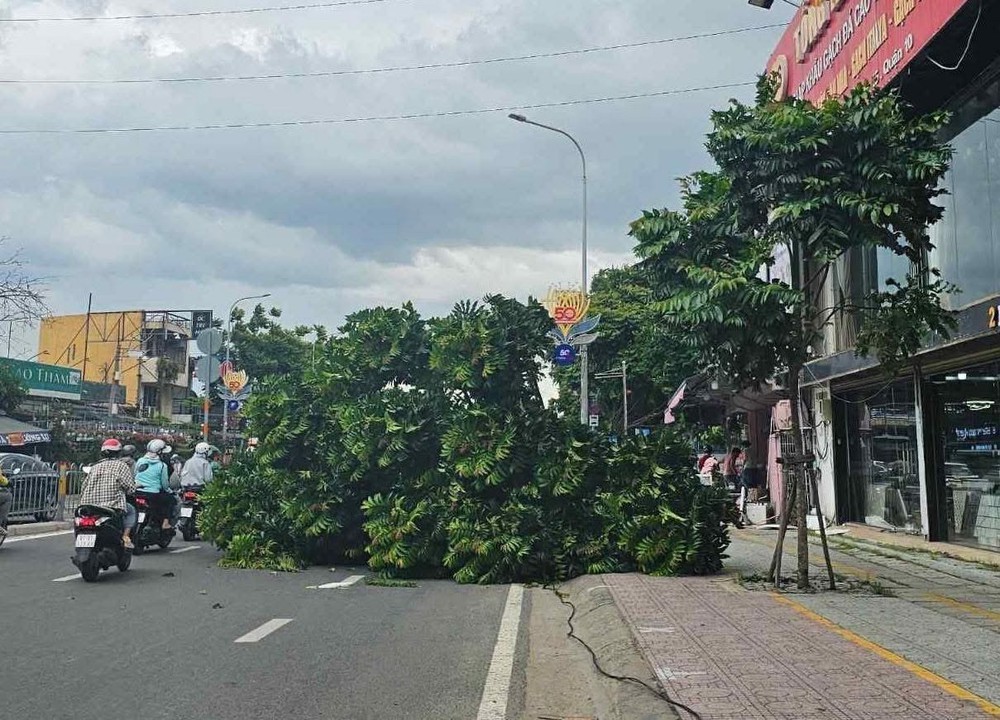 Hàng loạt sự cố xảy ra trong cơn mưa dông tại TP. Hồ Chí Minh - Ảnh 1.