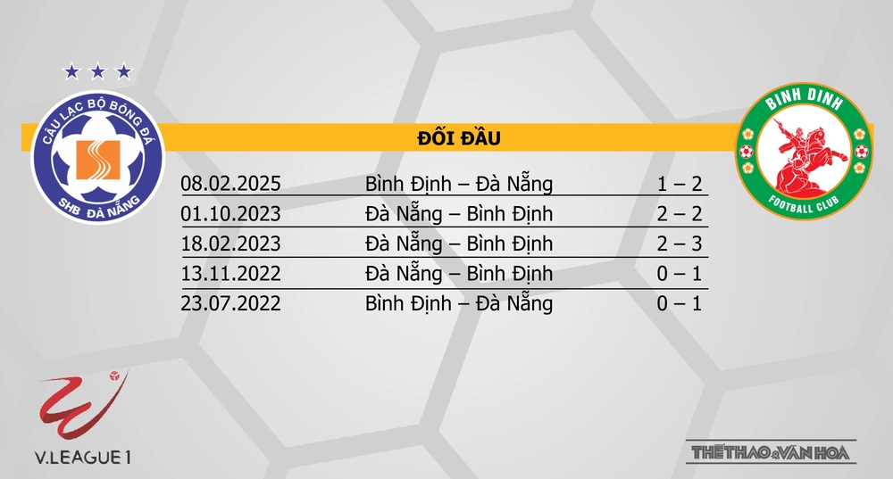 Nhận định bóng đá V-League hôm nay 10/5: Đà Nẵng vs Bình Định, SLNA vs Hà Nội - Ảnh 3.