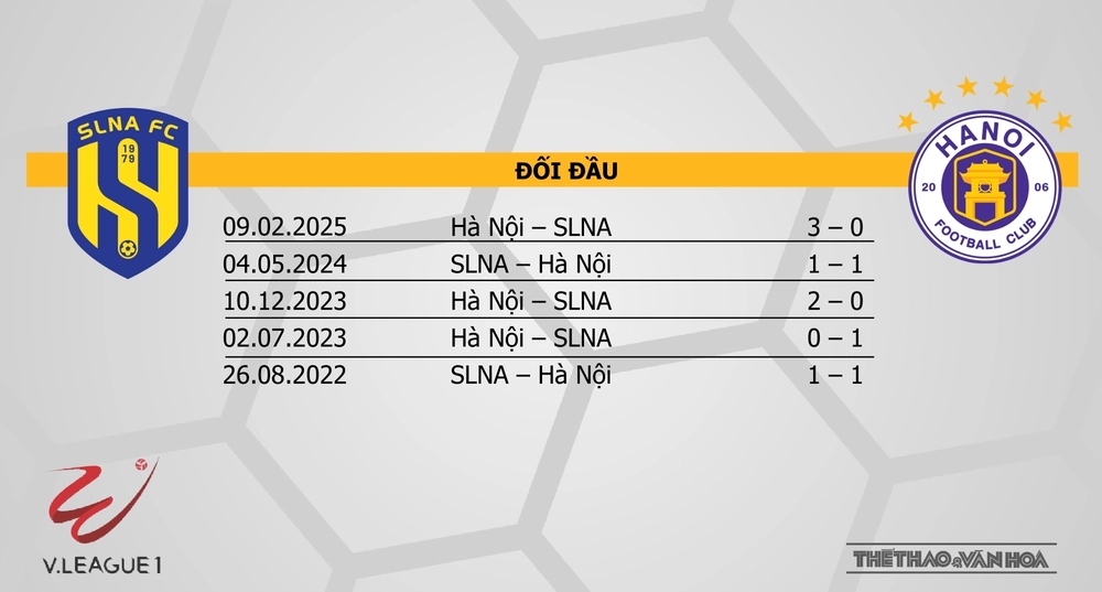 Nhận định bóng đá V-League hôm nay 10/5: Đà Nẵng vs Bình Định, SLNA vs Hà Nội - Ảnh 8.