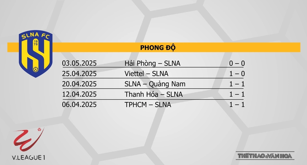 Nhận định bóng đá V-League hôm nay 10/5: Đà Nẵng vs Bình Định, SLNA vs Hà Nội - Ảnh 9.