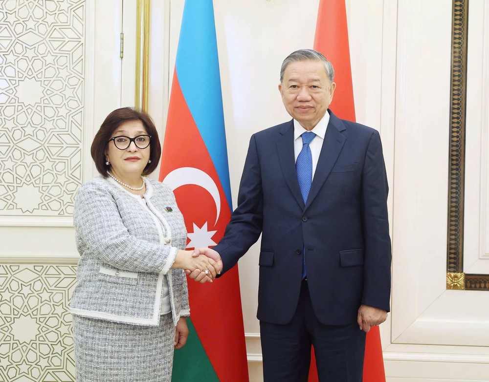 Tổng Bí thư Tô Lâm hội kiến Chủ tịch Quốc hội Azerbaijan - Ảnh 3.