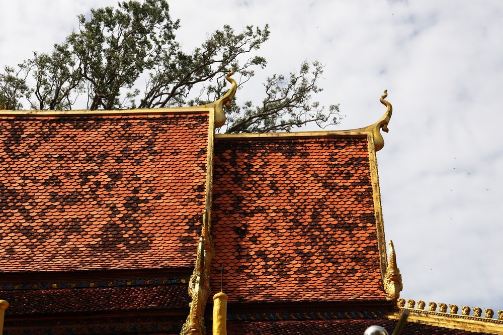 Ngôi chùa cổ nghìn năm ở Trà Vinh - Ảnh 8. Ngôi chùa cổ nghìn năm ở Trà Vinh - Ảnh 8.