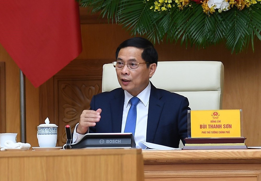 Phó Thủ tướng Bùi Thanh Sơn tiếp chuyên gia, nhà khoa học Tổ chức Khoa học và Chuyên gia Việt Nam toàn cầu - Ảnh 2.
