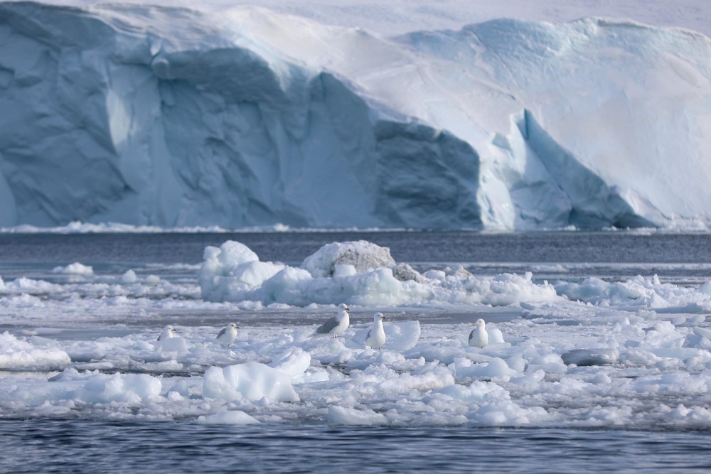 Kỷ lục tốc độ tan băng trong tháng 5 tại Greenland - Ảnh 1.