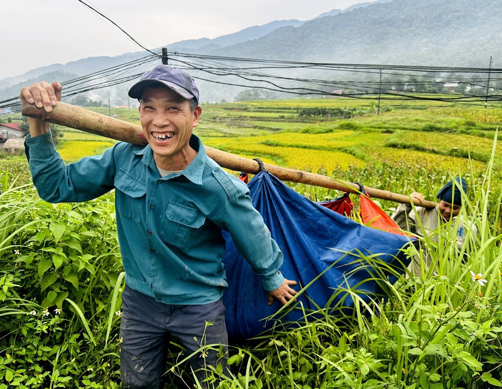 Rộn ràng mùa gặt nơi địa đầu Tổ quốc - Ảnh 8. Rộn ràng mùa gặt nơi địa đầu Tổ quốc - Ảnh 8.