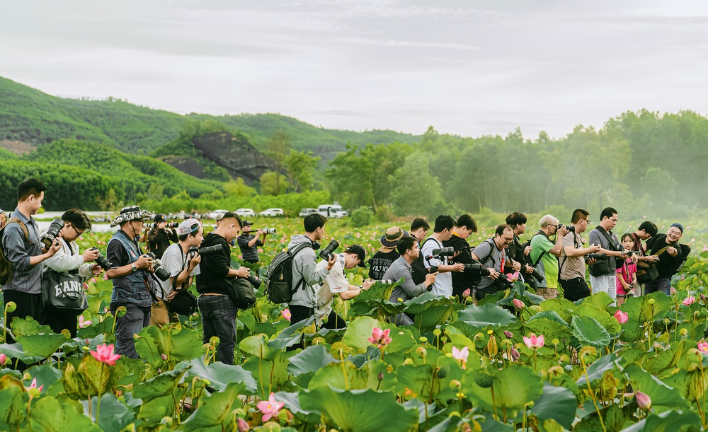 Hành trình nhiếp ảnh miền Trung: Khi đầm sen Trà Lý và văn hóa Chăm vào khung hình - Ảnh 1. Hành trình nhiếp ảnh miền Trung: Khi đầm sen Trà Lý và văn hóa Chăm vào khung hình - Ảnh 1.