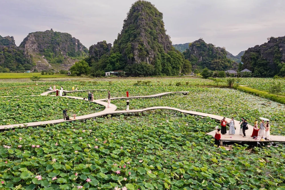 Hương sen đất Cố đô - Sức sống mới cho du lịch nông nghiệp Ninh Bình - Ảnh 3. Hương sen đất Cố đô - Sức sống mới cho du lịch nông nghiệp Ninh Bình - Ảnh 3.