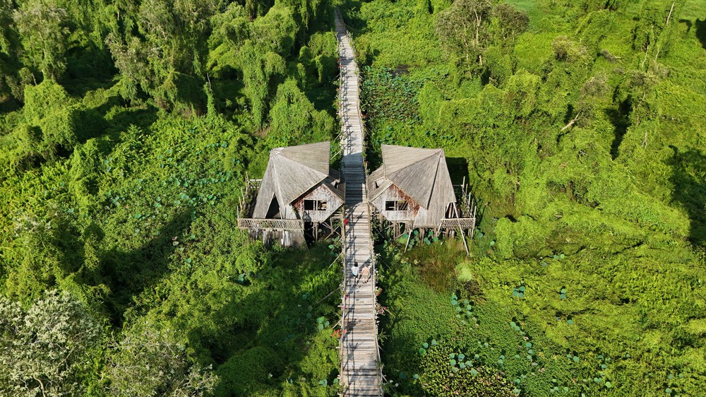 Du lịch Đồng bằng sông Cửu Long tạo điểm nhấn từ văn hóa, cảnh quan - Ảnh 5. Du lịch Đồng bằng sông Cửu Long tạo điểm nhấn từ văn hóa, cảnh quan - Ảnh 5.