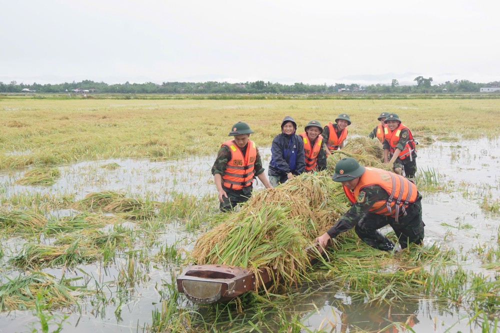 Thủ tướng chỉ đạo tăng cường phòng, chống thiên tai trước mùa mưa bão năm 2025 - Ảnh 2. Thủ tướng chỉ đạo tăng cường phòng, chống thiên tai trước mùa mưa bão năm 2025 - Ảnh 2.