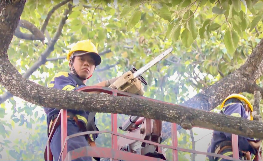 TP. Hồ Chí Minh lên phương án chống ngập lụt, cây đổ trong mùa mưa bão - Ảnh 2.