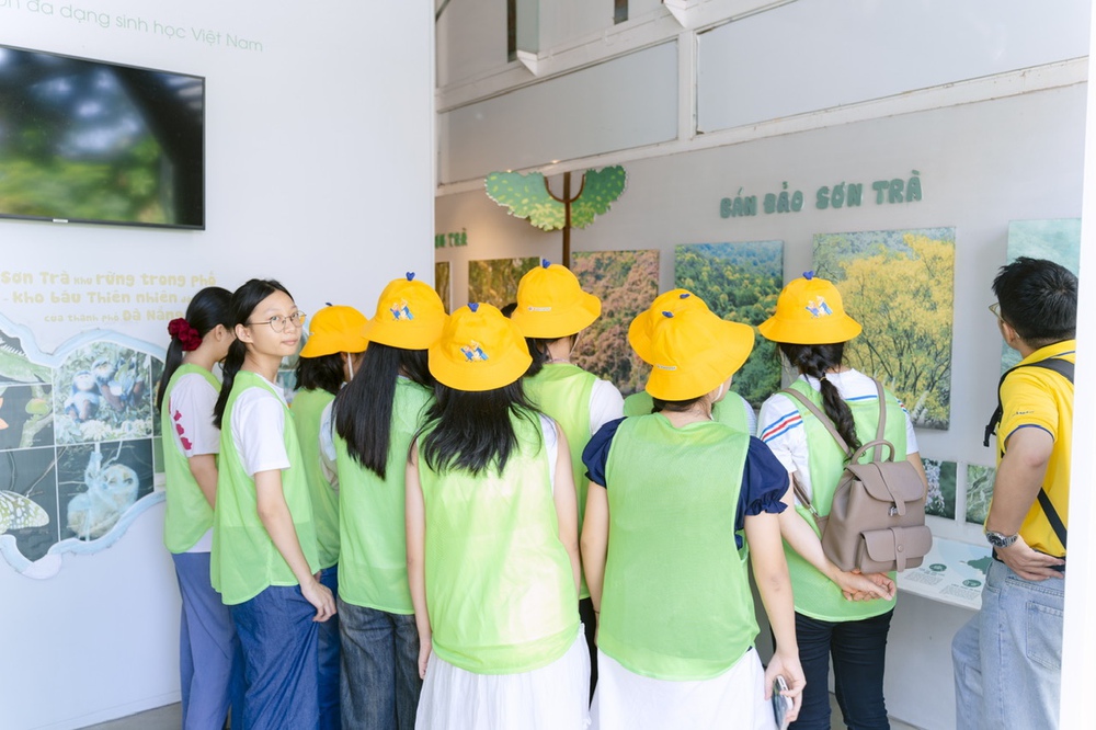 Chung tay bảo vệ Voọc chà vá chân nâu – báu vật Sơn Trà - Ảnh 3.