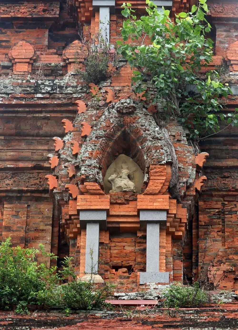 Dấu ấn Chăm Pa rực rỡ trên đất võ - Ảnh 4. Dấu ấn Chăm Pa rực rỡ trên đất võ - Ảnh 4.