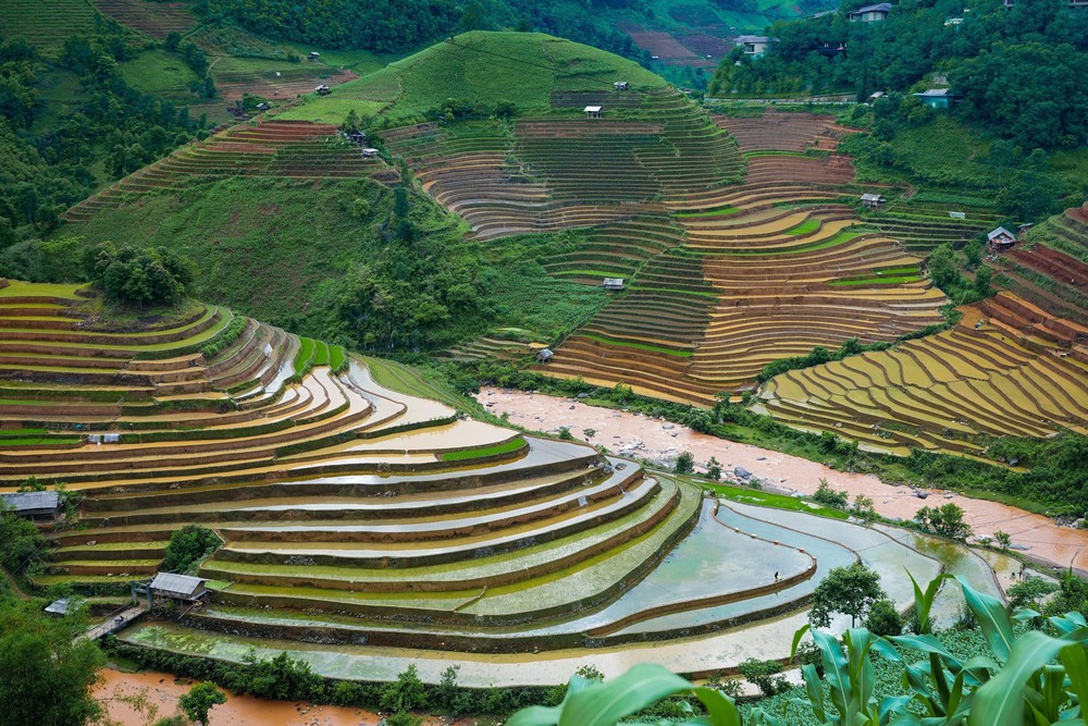 Lung linh ruộng bậc thang mùa nước đổ ở Mù Cang Chải - Ảnh 1. Lung linh ruộng bậc thang mùa nước đổ ở Mù Cang Chải - Ảnh 1.