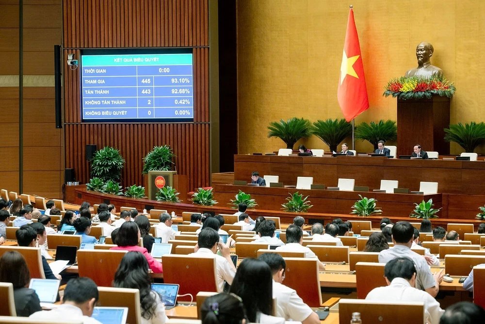 Nhiều luật quan trọng có hiệu lực từ ngày 1/7/2025 - Ảnh 5.