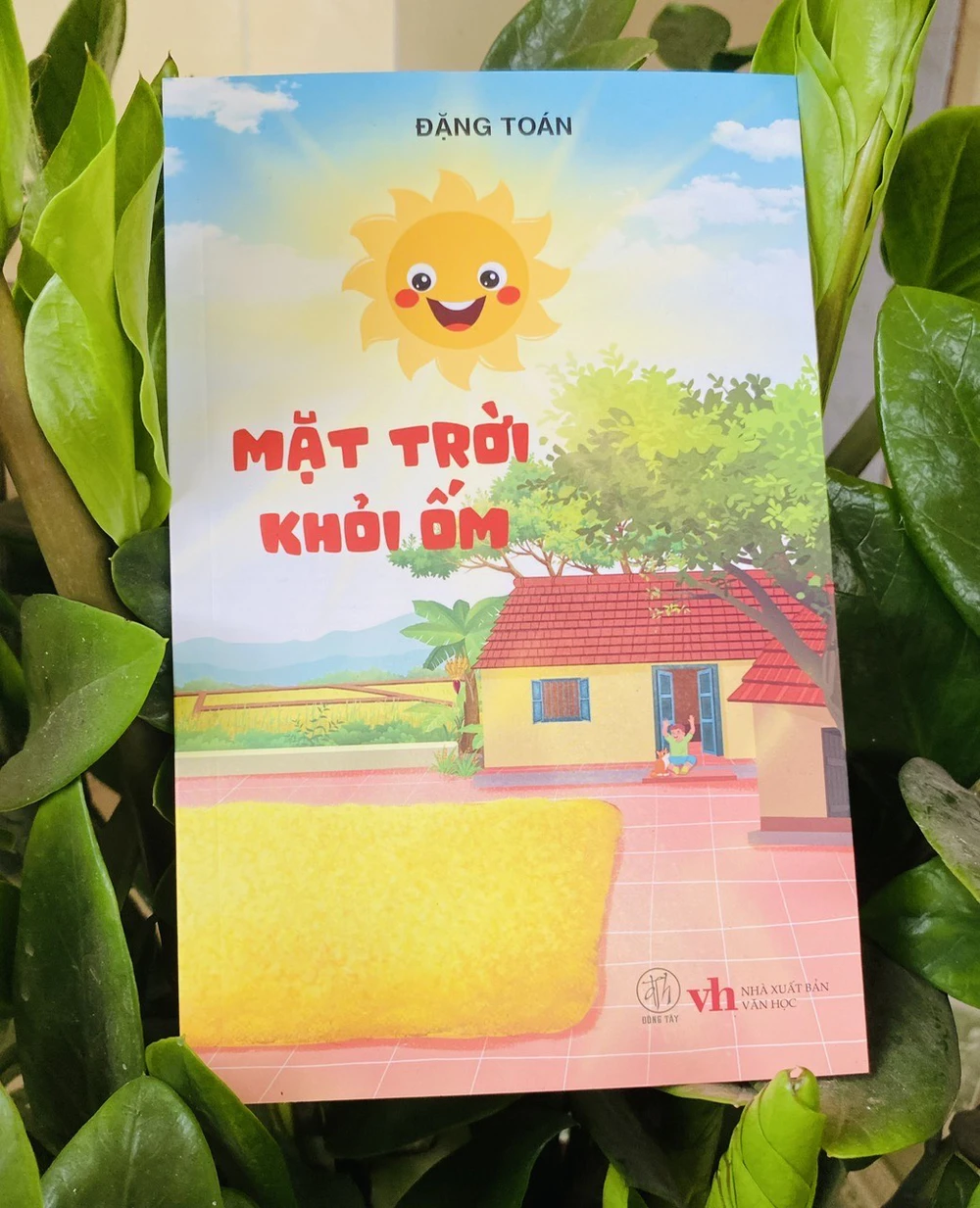 &quot;Mặt trời khỏi ốm&quot; - Tiếng hát từ con tim - Ảnh 3.