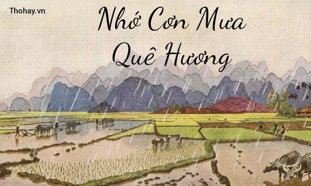 nho-con-mua-que-huong-17489997733001866911060.jpg