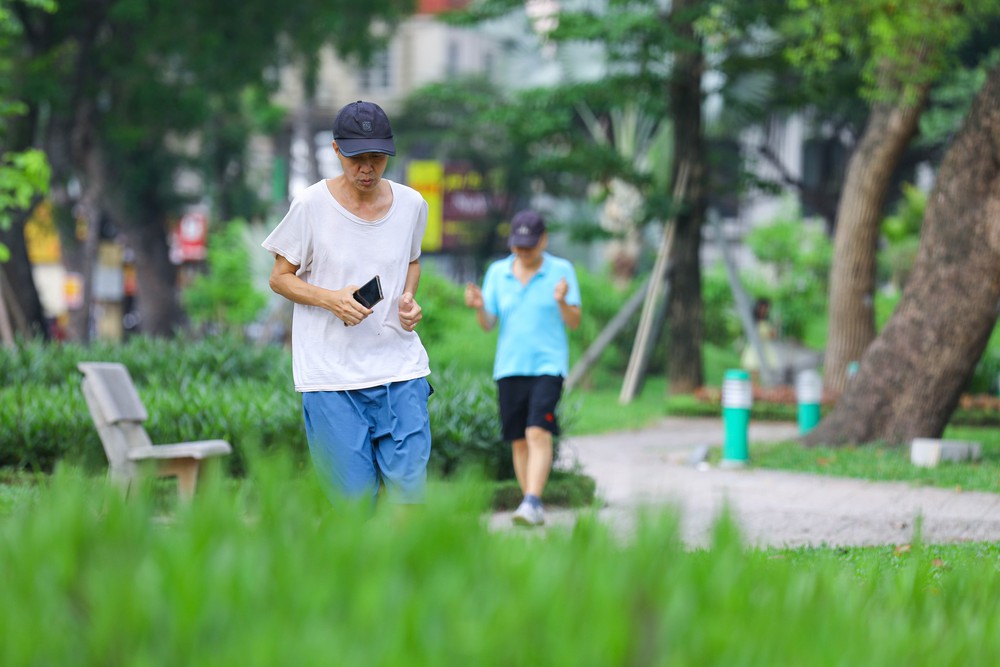 Đưa Hà Nội trở thành &quot;Thành phố Xanh&quot; - Ảnh 9.