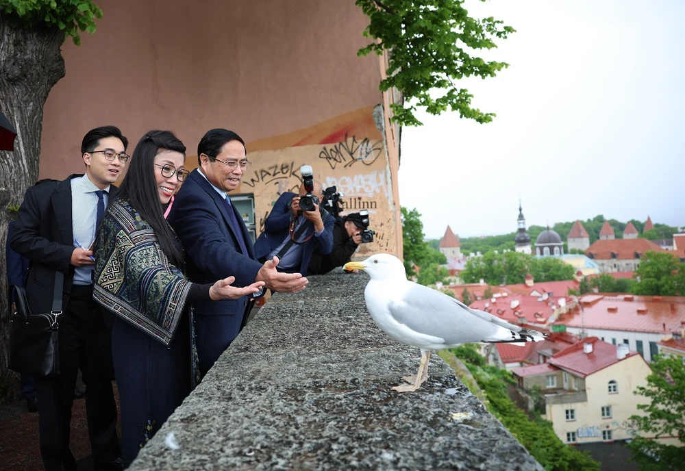 Thủ tướng và Phu nhân tham quan phố cổ Tallinn, Estonia - Ảnh 2.