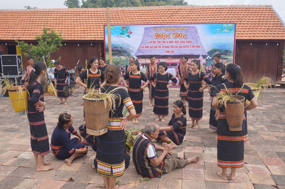Phiên chợ sâm Ngọc linh và các sản phẩm đặc hữu - Ảnh 4. Phiên chợ sâm Ngọc linh và các sản phẩm đặc hữu - Ảnh 4.