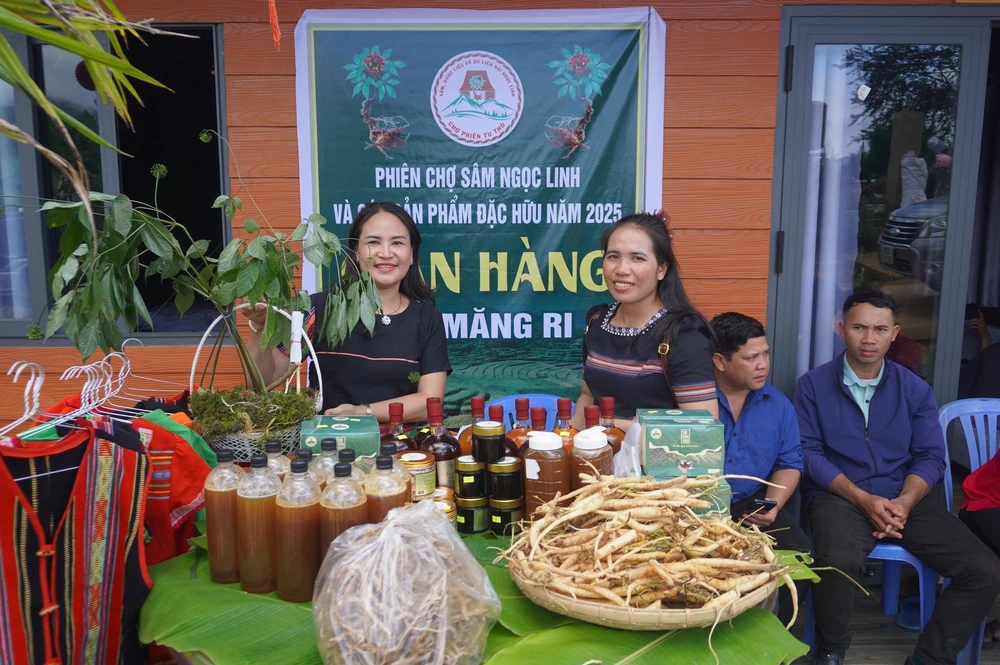 Phiên chợ sâm Ngọc linh và các sản phẩm đặc hữu - Ảnh 2. Phiên chợ sâm Ngọc linh và các sản phẩm đặc hữu - Ảnh 2.