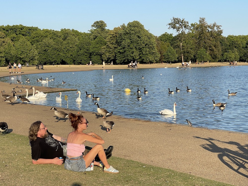 Người dân London đổ tới các công viên tránh nóng - Ảnh 7.