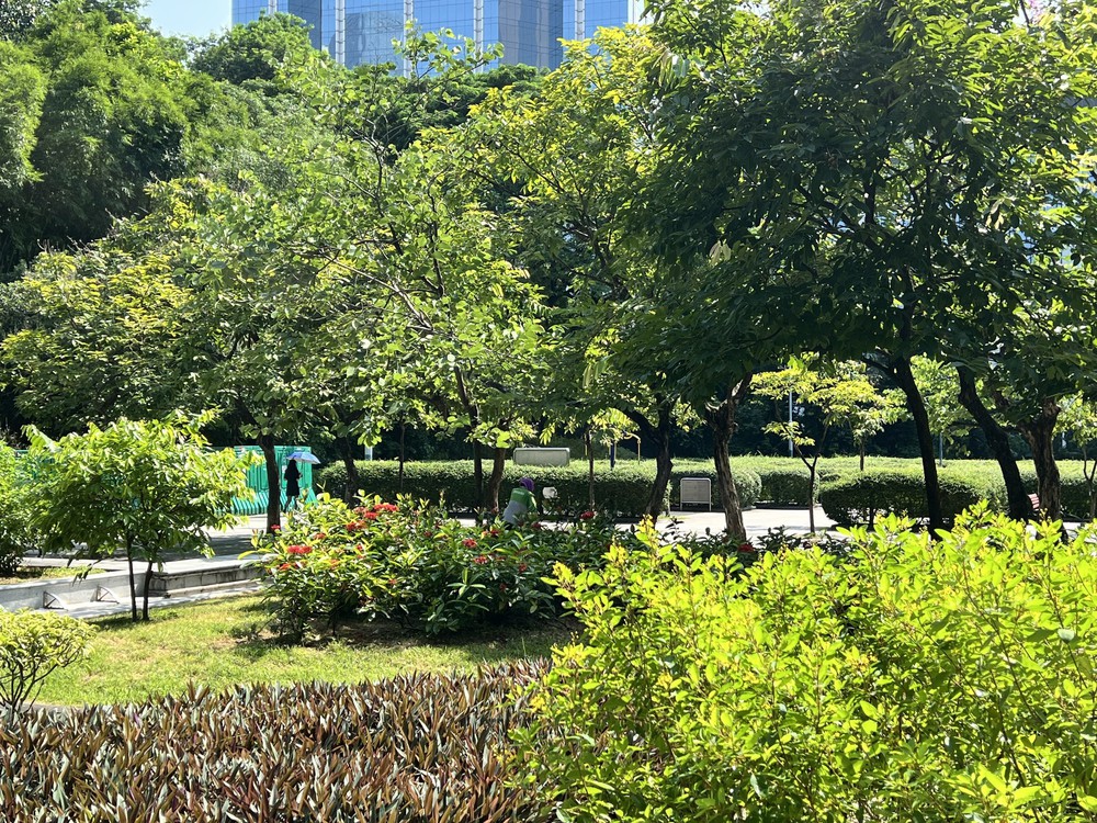 Hiệu ứng lan tỏa sau sắp xếp đơn vị hành chính - Bài cuối: Hong Kong (Trung Quốc): Bước chuyển mình ngoạn mục - Ảnh 3.