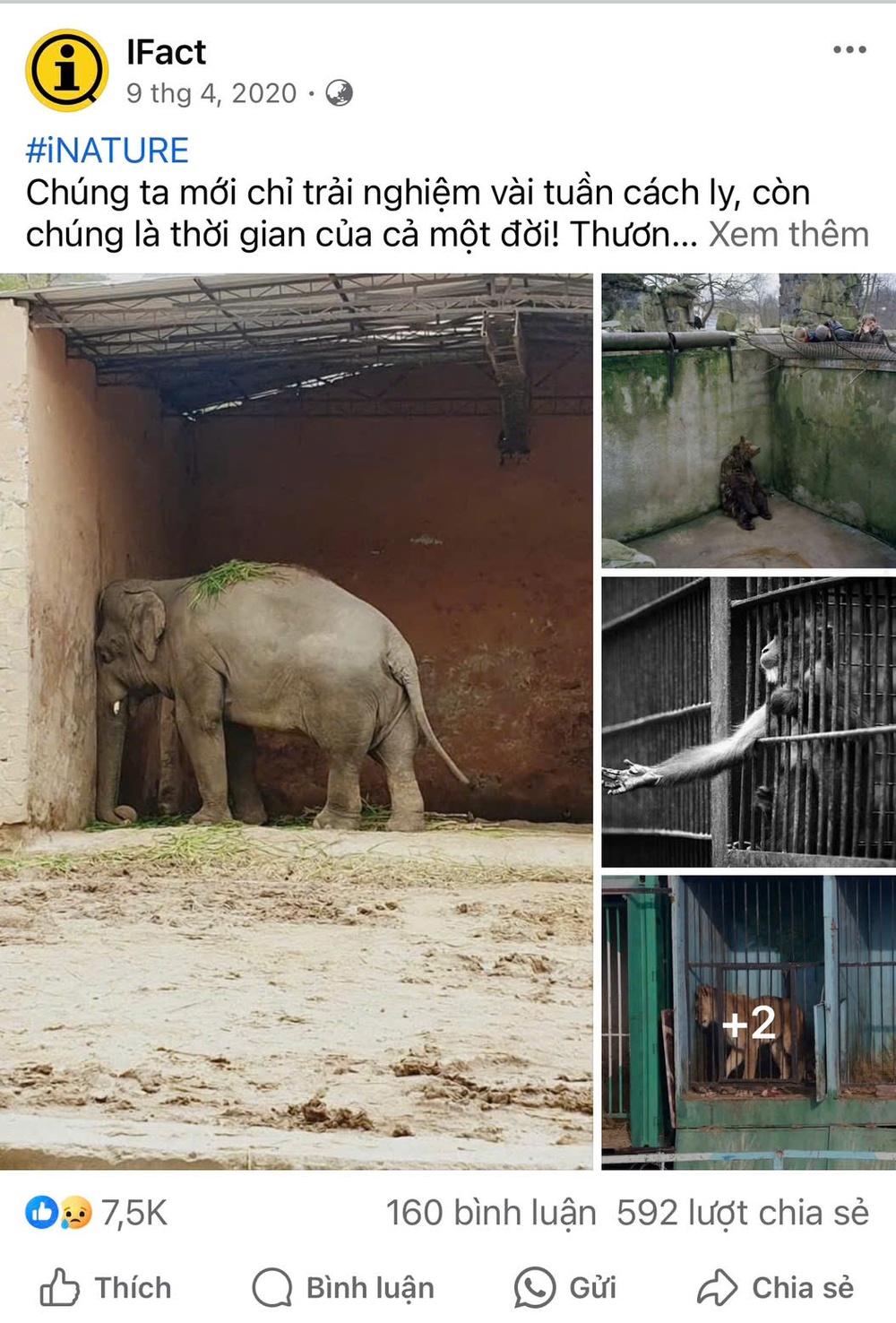 iFact và nỗ lực gìn giữ bản sắc – kết nối tri thức giữa thời đại số - Ảnh 2.