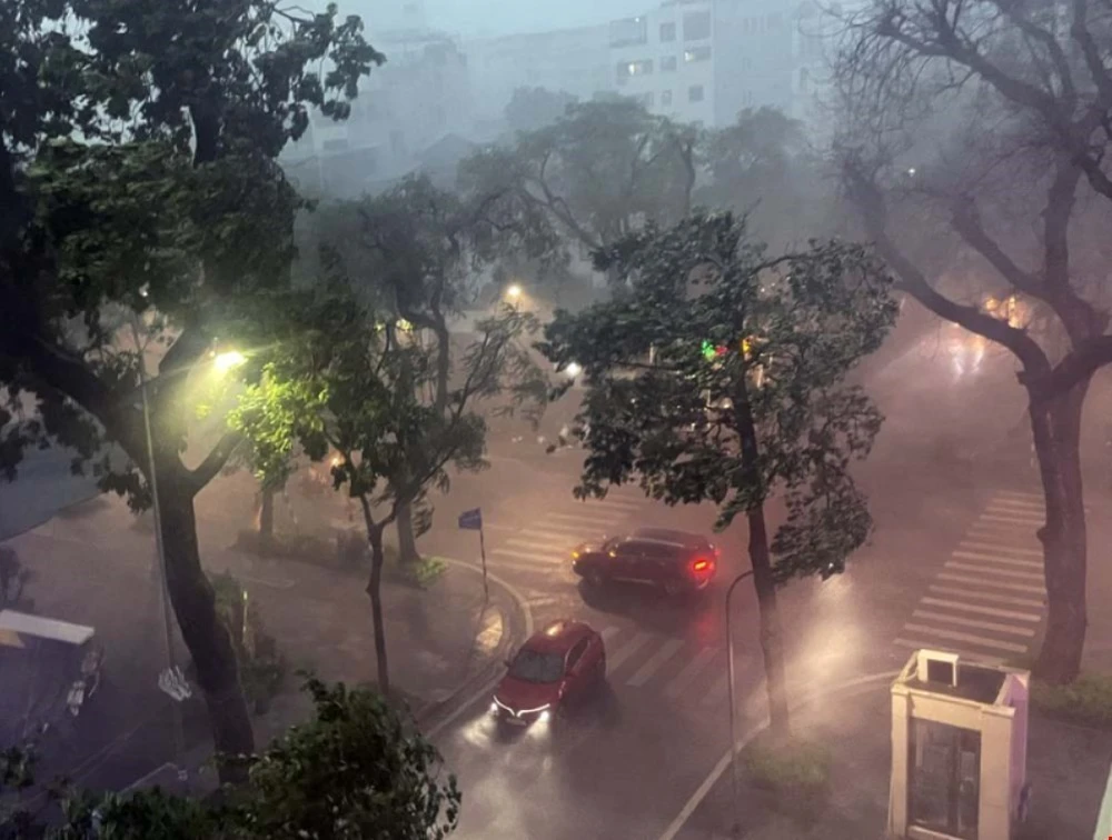 Mưa giông lớn bất ngờ khiến nhiều cây bị quật đổ trên các tuyến đường phố Hà Nội - Ảnh 1.