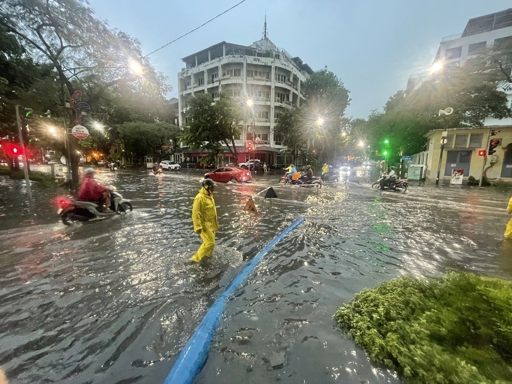 Mưa giông lớn bất ngờ khiến nhiều cây bị quật đổ trên các tuyến đường phố Hà Nội - Ảnh 12.