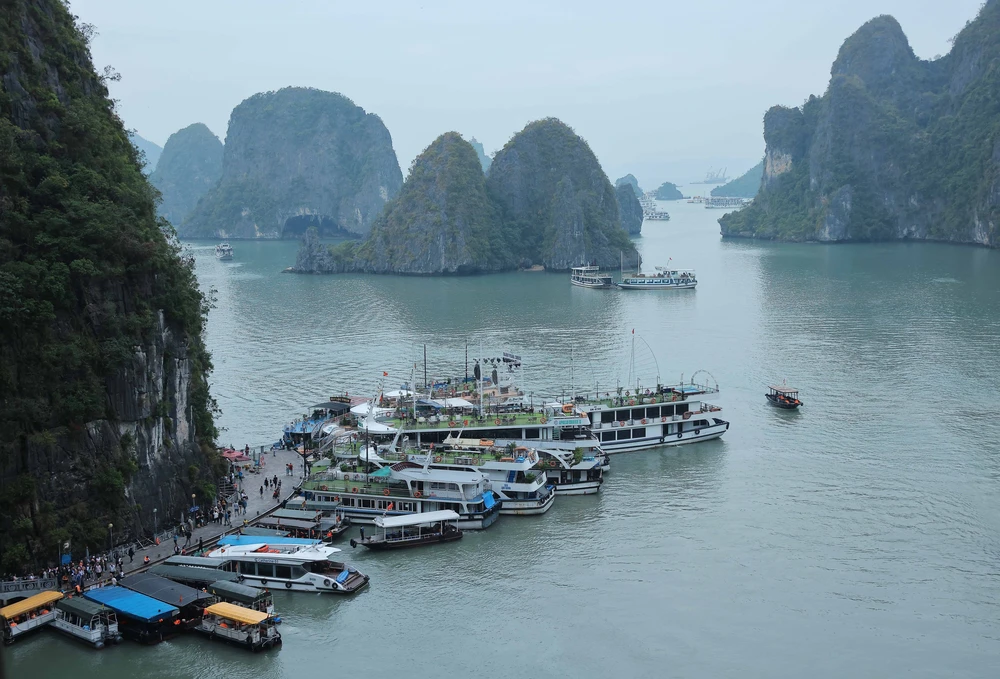 Tạm dừng toàn bộ tour du thuyền Hạ Long để tránh bão - Ảnh 3. Tạm dừng toàn bộ tour du thuyền Hạ Long để tránh bão - Ảnh 3.