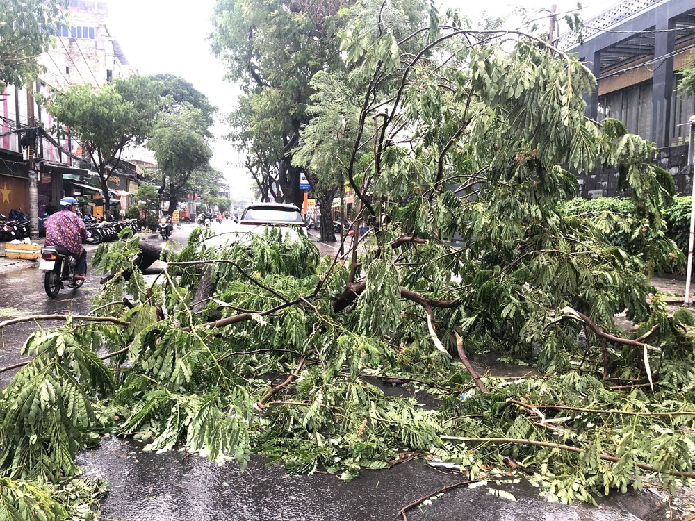 Mưa lớn kèm dông lốc, gió giật khiến nhiều cây xanh gãy đổ ở TP Hồ Chí Minh - Ảnh 1.