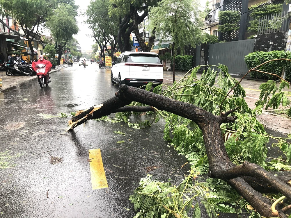Mưa lớn kèm dông lốc, gió giật khiến nhiều cây xanh gãy đổ ở TP Hồ Chí Minh - Ảnh 2.