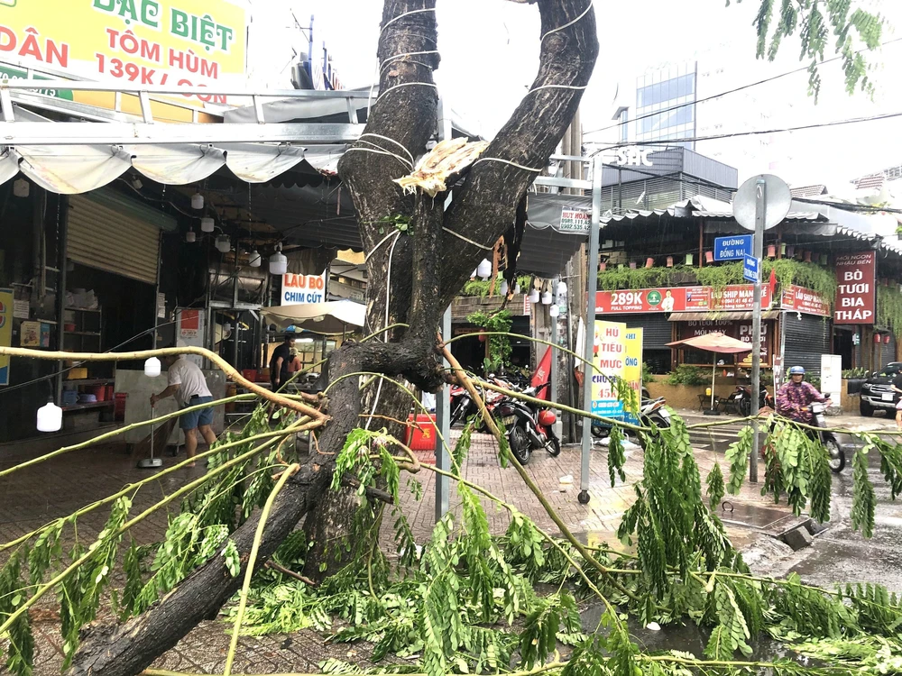 Mưa lớn kèm dông lốc, gió giật khiến nhiều cây xanh gãy đổ ở TP Hồ Chí Minh - Ảnh 3.