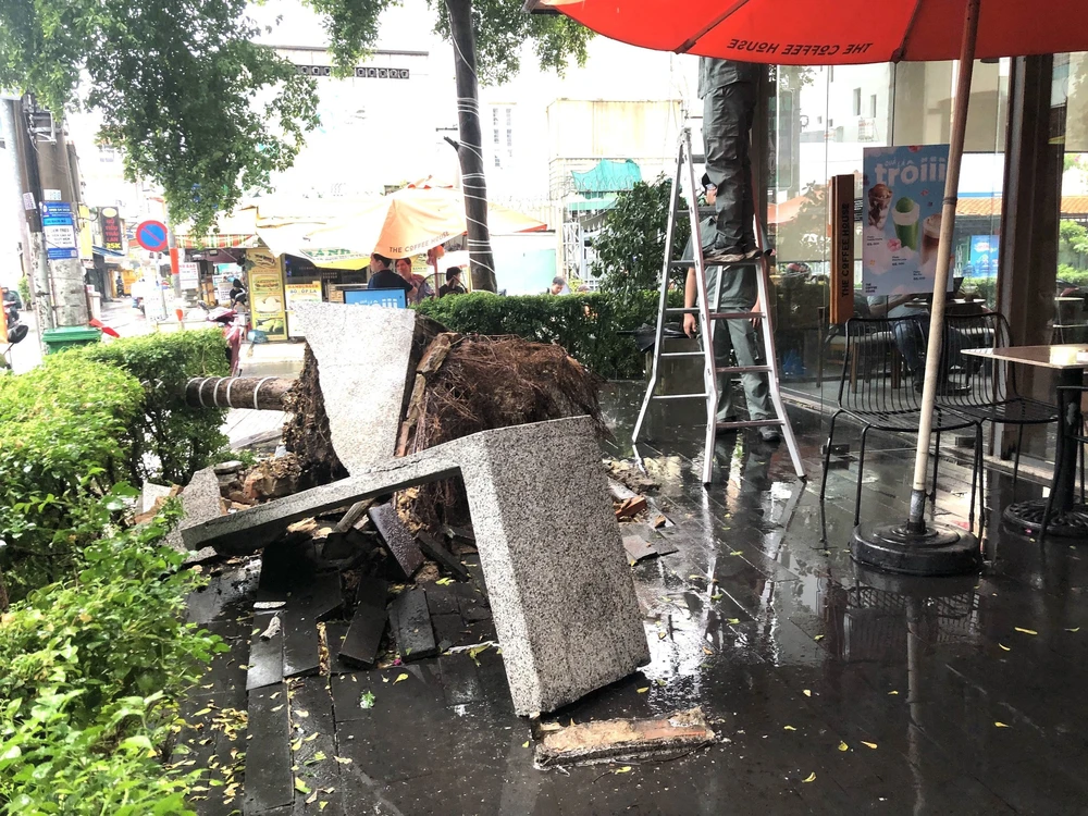 Mưa lớn kèm dông lốc, gió giật khiến nhiều cây xanh gãy đổ ở TP Hồ Chí Minh - Ảnh 4.