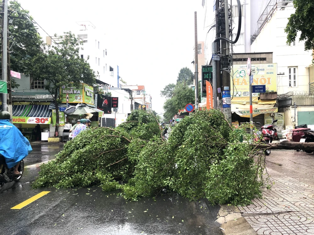 Mưa lớn kèm dông lốc, gió giật khiến nhiều cây xanh gãy đổ ở TP Hồ Chí Minh - Ảnh 5.